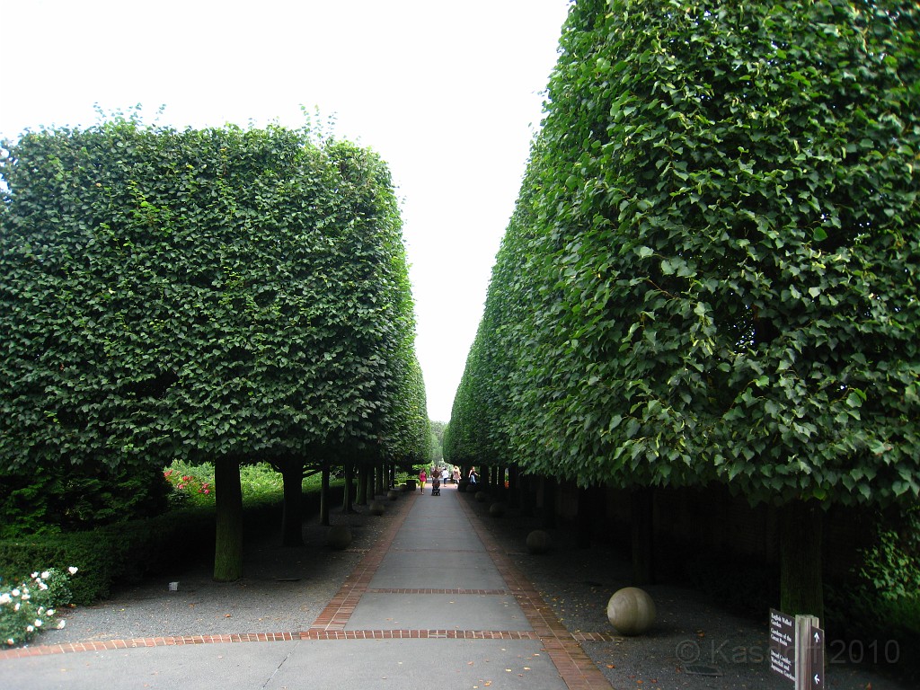 Botanical Gardens 2010 0310.jpg - The Chicago Botanic Gardens. Wear comfortable shoes, and be prepared to enjoy the landscape for a day.